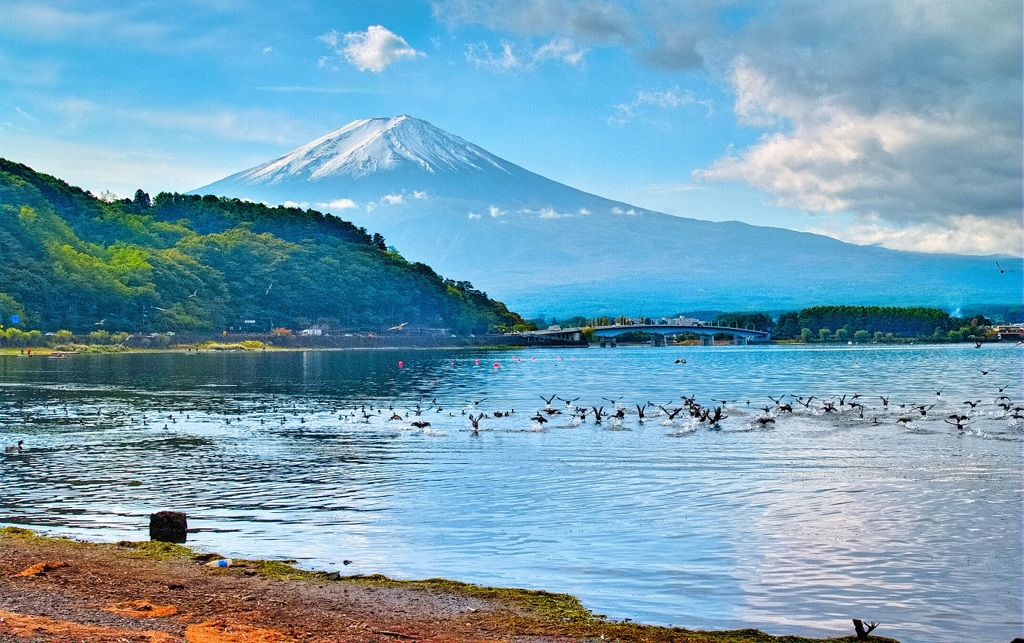 風景４２３　富士