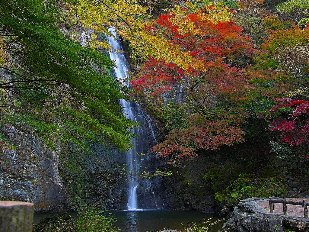 日本風景１２５３　秋