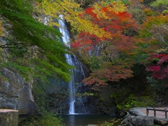 日本風景１２５３　秋
