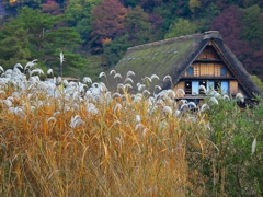 日本風景１４９６合掌造り