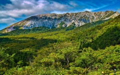 風景３８０　大山