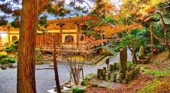 風景２６１ 寺　秋