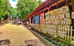 日本風景８００　奈良　参道