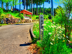 日本風景９２６　地蔵