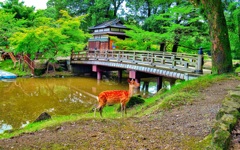 日本風景７８３　奈良　橋