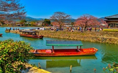 風景４２８　嵐山　