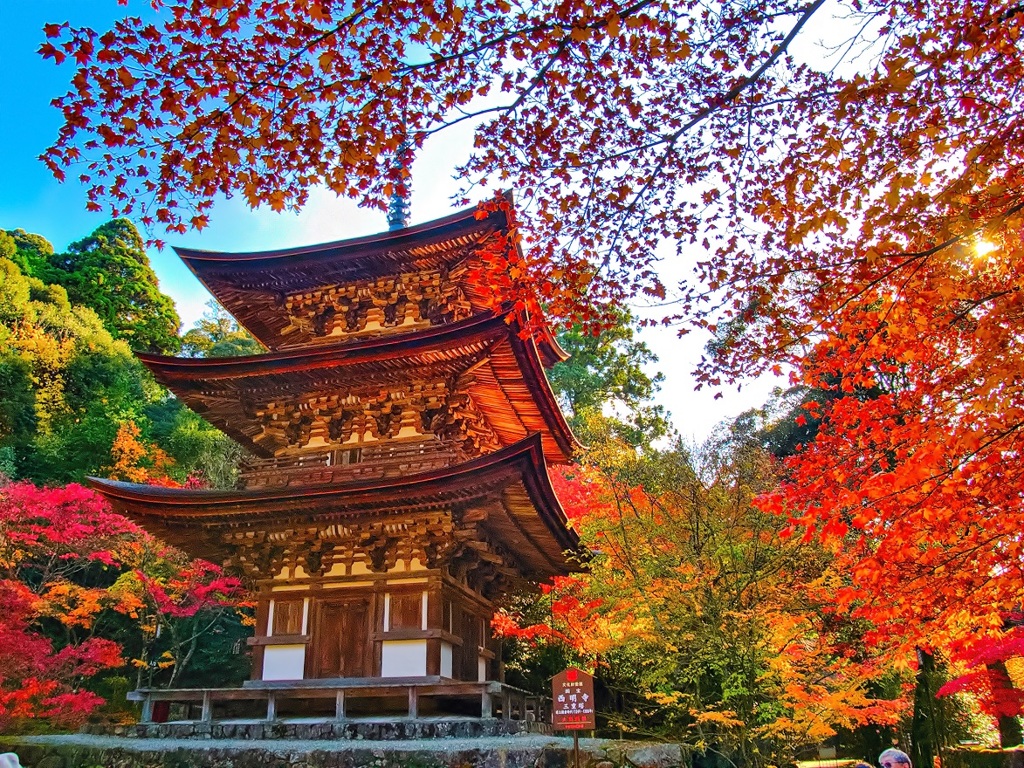 風景３２３ 寺　秋