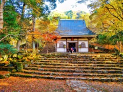 風景２０３　山寺　 秋