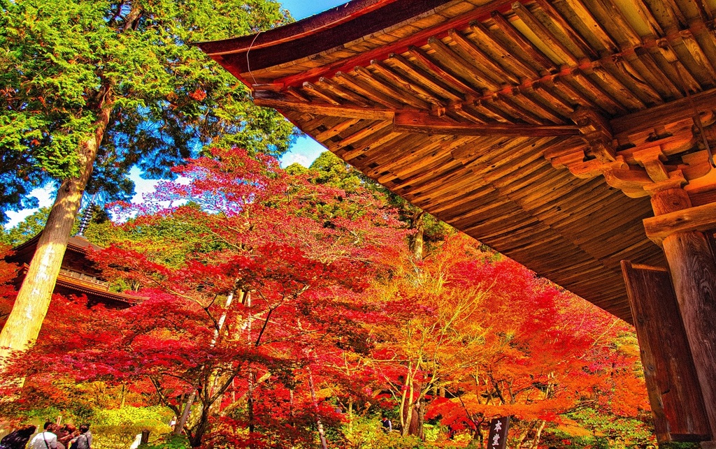 風景３０７ 寺　秋