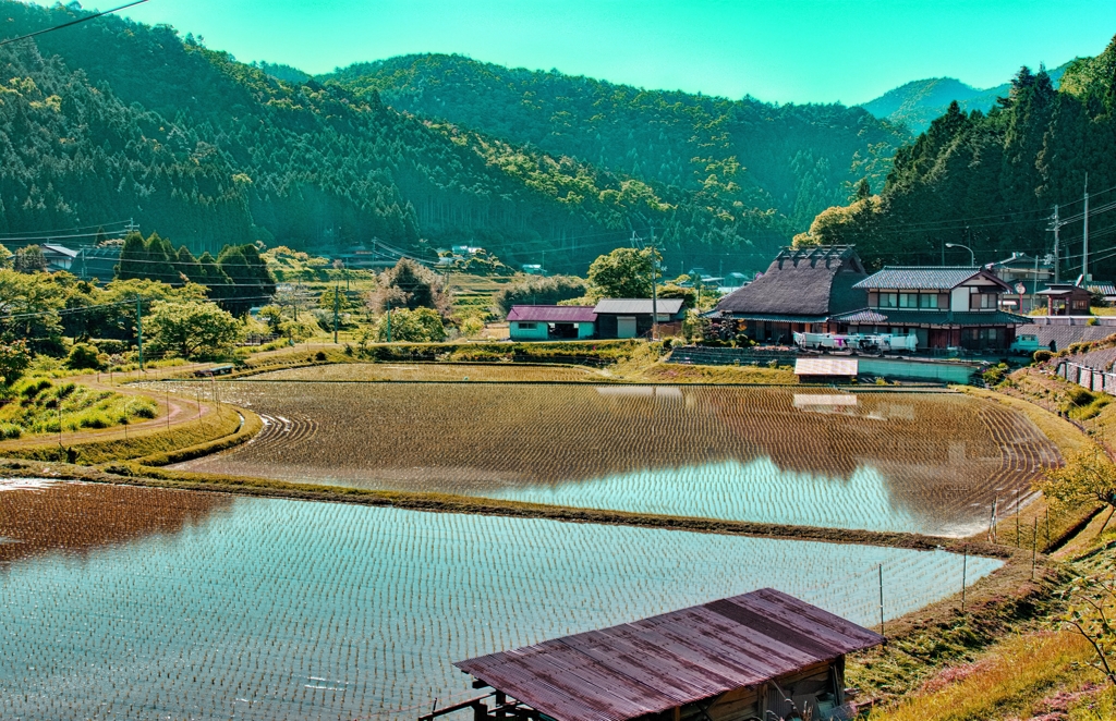 日本風景９１7　田園