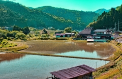 日本風景９１7　田園