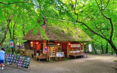 日本風景７８７　奈良　茶屋