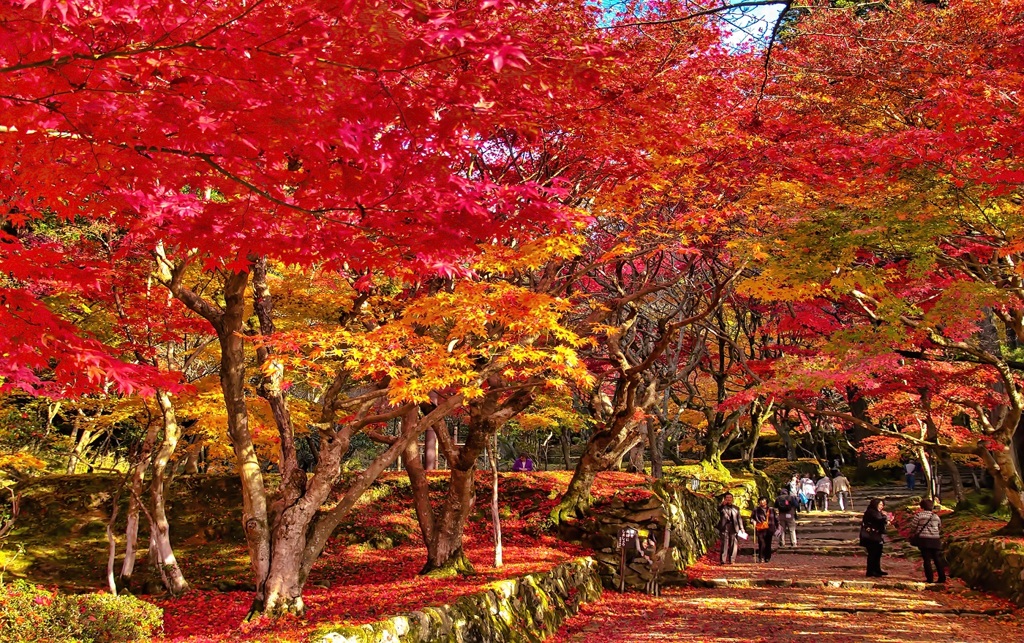 風景３２１ 寺　秋