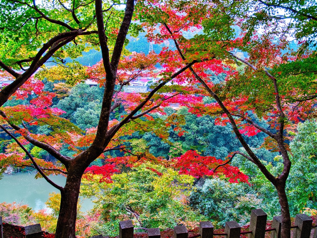 風景２６６ 寺　秋