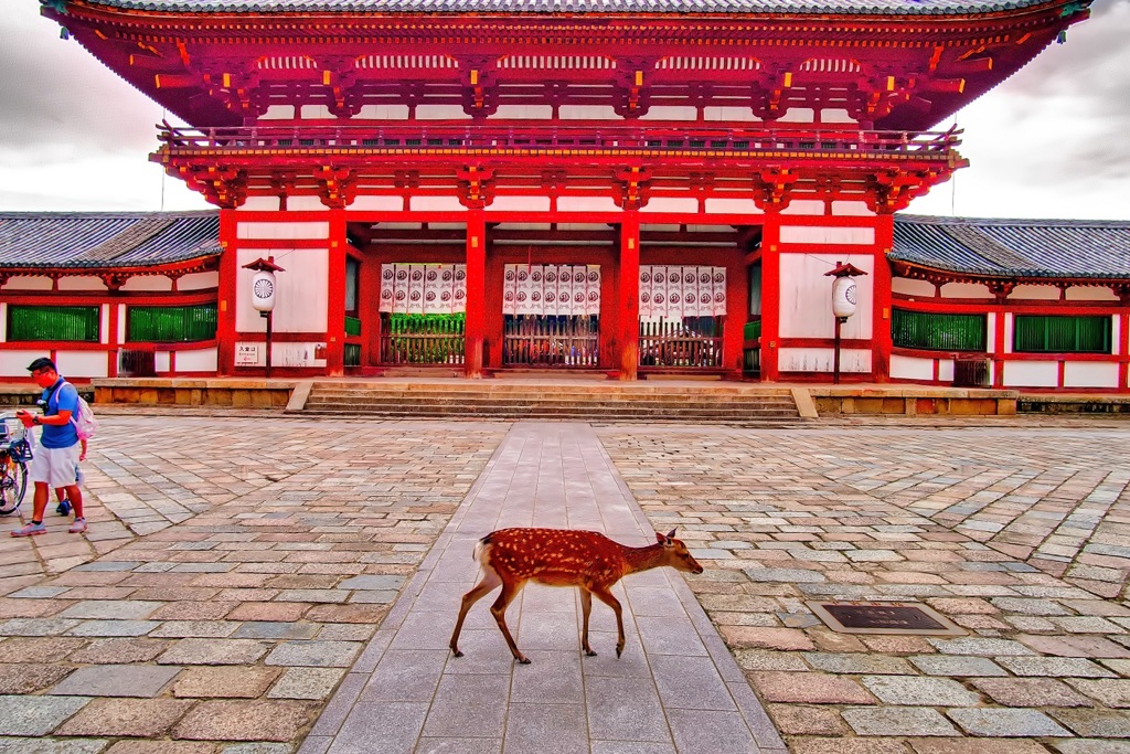 日本風景７８４　奈良　寺
