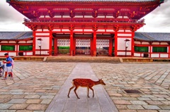 日本風景７８４　奈良　寺