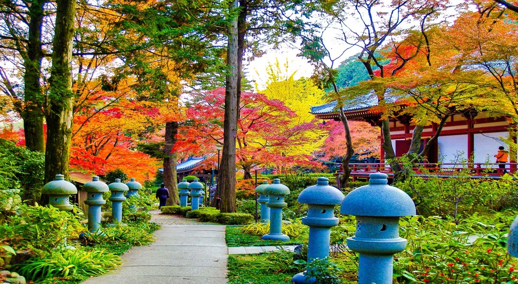 風景２３０　山寺　 秋
