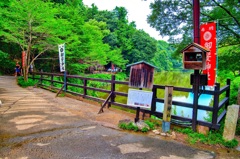 日本風景８４７京都　嵐山　神社