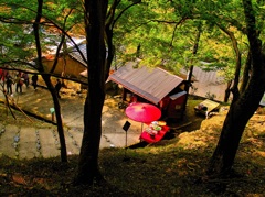 日本風景８３４　京都　参道