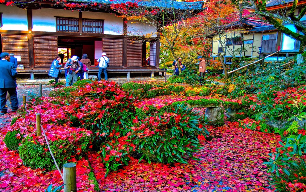 風景２７７ 寺　秋