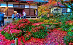 風景２７７ 寺　秋