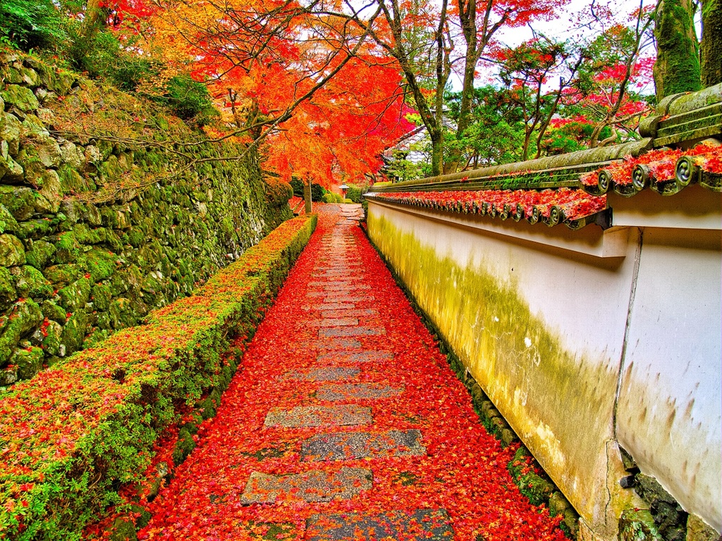 風景２５２ 寺　秋