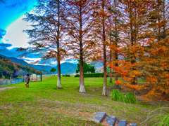 日本風景１０２０　秋