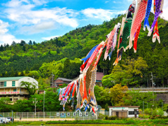 日本風景８９４　鯉のぼり