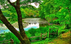 風景６５３　京都