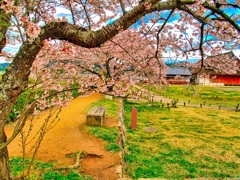 風景４４８　篠山　春