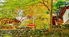 風景１８７　京都　高雄　