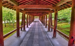 風景６８５　京都　庭