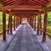 風景６８５　京都　庭