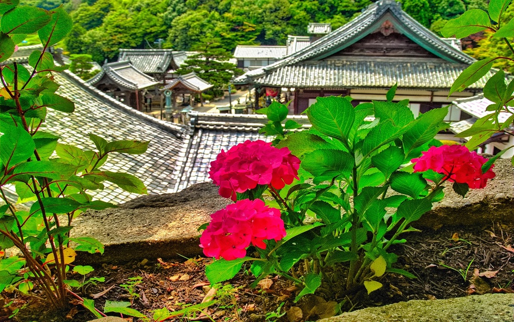 風景６９９　山寺　庭