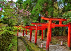 風景４３４　出石