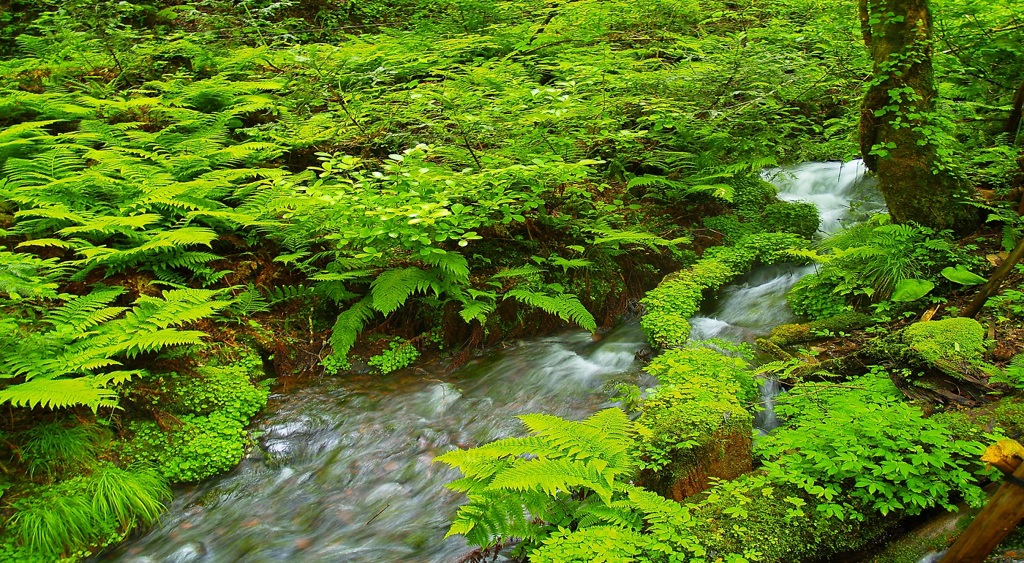 風景１６０　小川