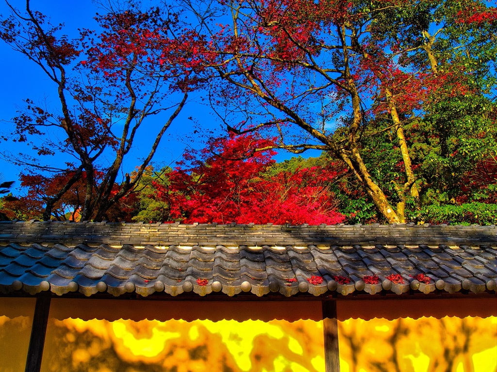 風景３２０ 寺　秋