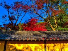 風景３２０ 寺　秋