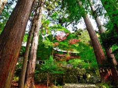 風景２７２ 山寺　秋