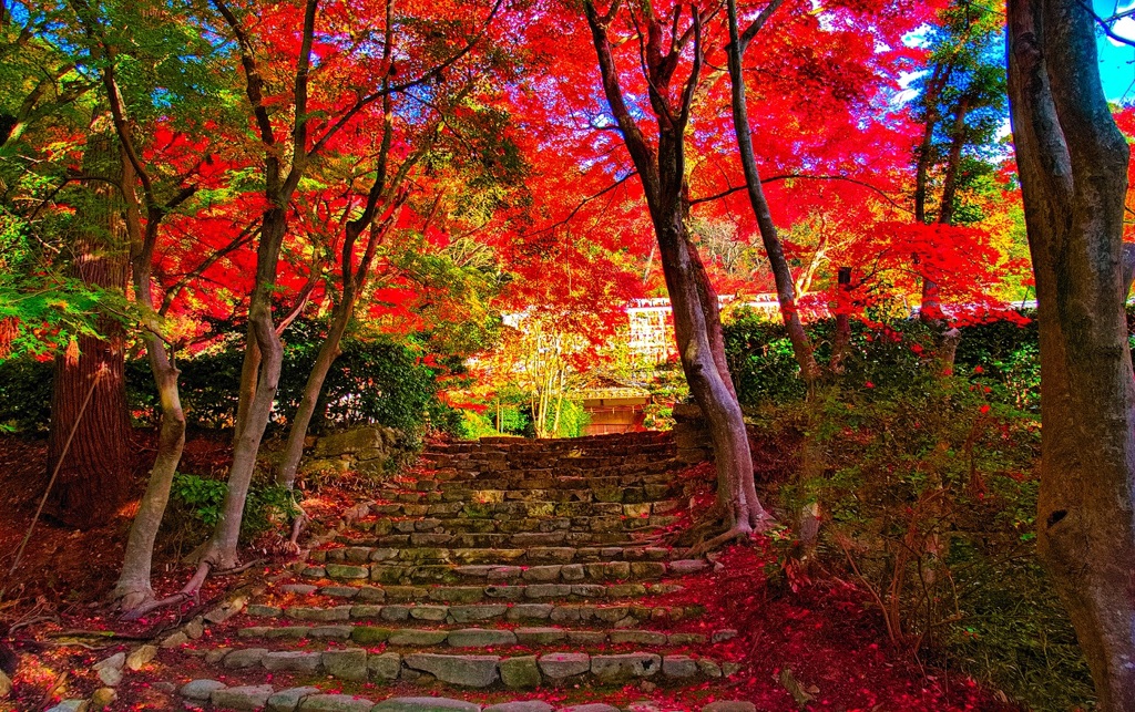 風景３３３ 寺　秋