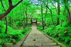 日本風景８０９　京都　寺