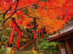 風景２５８ 寺　秋