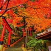 風景２５８ 寺　秋