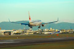 公開日本風景１１４９　airplane
