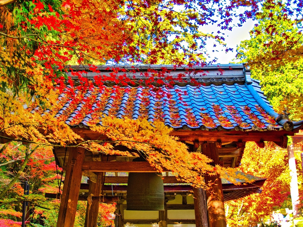 風景３０４ 寺　秋