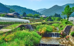 風景６４４　京都　大原