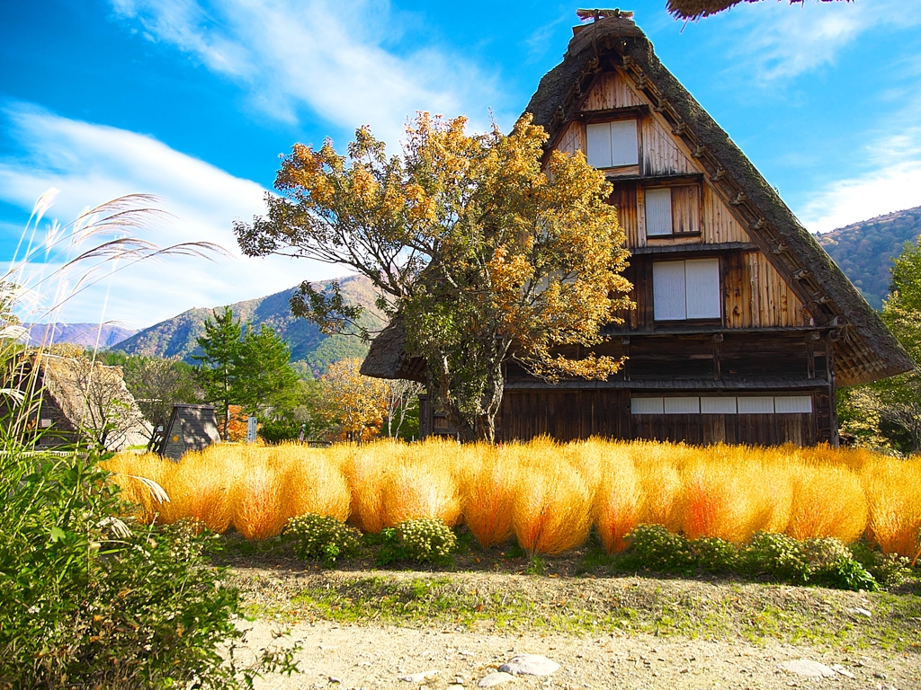 日本風景１４９２茅葺