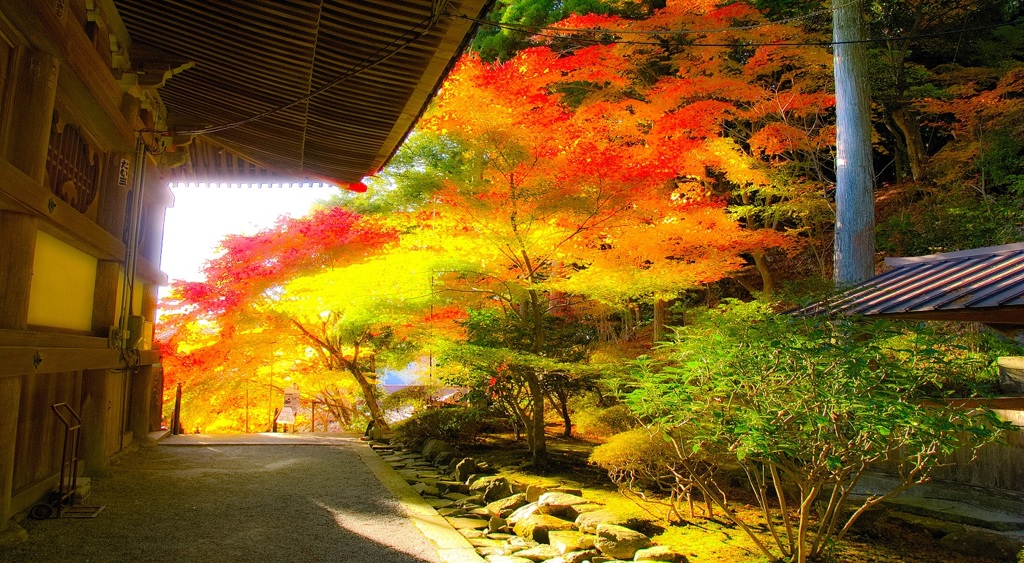 風景２６２ 寺　秋