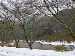 日本風景１３０４　冬景