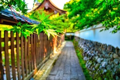 日本風景８２３　京都　神社